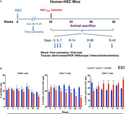 Immune Activations and Viral Tissue Compartmentalization During Progressive HIV-1 Infection of Humanized Mice